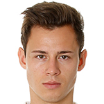 弗兰德里奇头像,弗兰德里奇图片