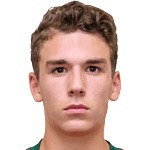 保罗-勒巴头像,保罗-勒巴图片