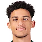 本赫迪姆头像,本赫迪姆图片