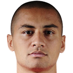 韦林顿-保利斯塔头像,韦林顿-保利斯塔图片