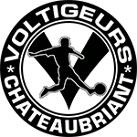 沙托布里扬飞行者队标,沙托布里扬飞行者图片