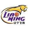 辽宁女篮U22队标,辽宁女篮U22图片