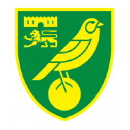 诺维奇 U18队标,诺维奇 U18图片