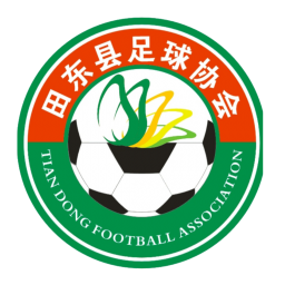 百色市田东县队队标,百色市田东县队图片