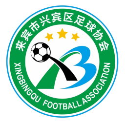 来宾市兴宾区队队标,来宾市兴宾区队图片