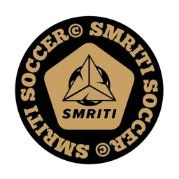 广州传骋女足队标,广州传骋女足图片