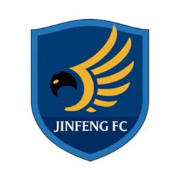 广州锦峰女足队标,广州锦峰女足图片